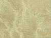 Textures-A 26