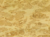 Textures-A 50