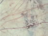 Textures-A 79