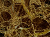 Textures-A 105