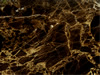 Textures-A 108