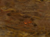 Textures-A 109