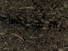 Textures-A 117