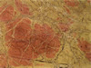 Textures-A 147