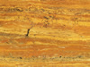 Textures-A 156
