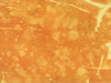 Textures-A 160