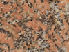 Textures-A 221