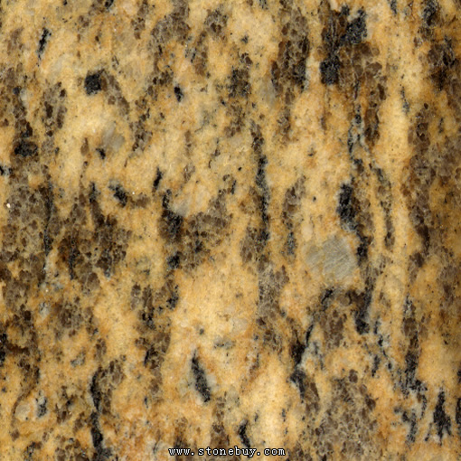 Textures-A 241