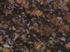 Textures-A 259