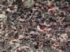Textures-A 272