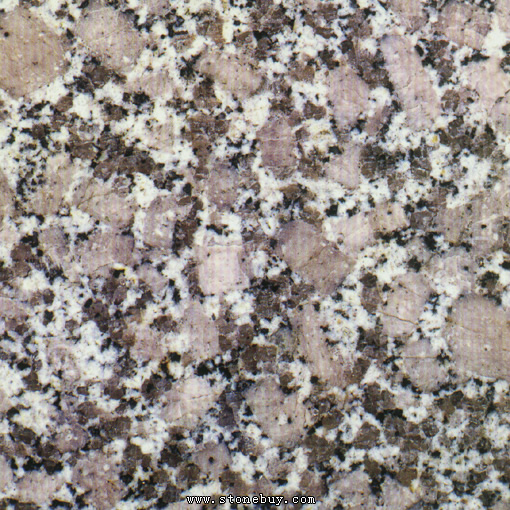 Textures-A 304
