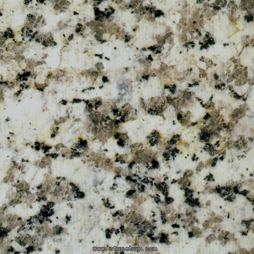 Textures-A 313