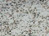 Textures-A 329