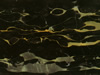 Textures-A 349