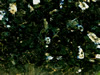 Textures-A 355