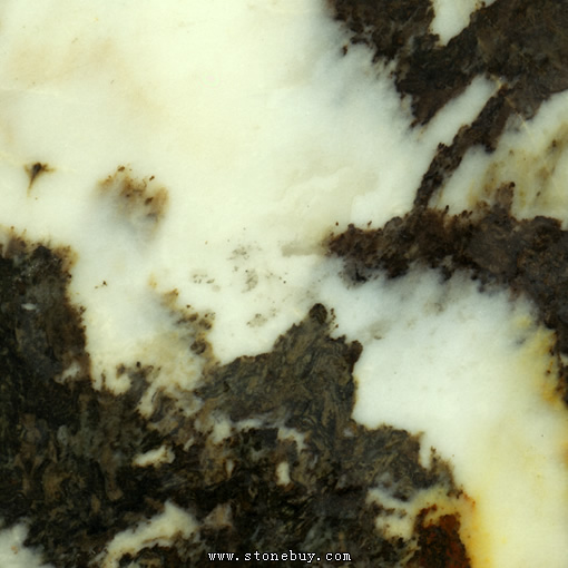 Textures-A 365