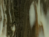 Textures-A 379