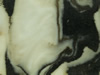 Textures-A 387
