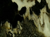 Textures-A 393