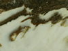 Textures-A 395