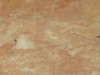 Textures-A 402