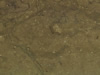 Textures-A 418