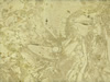 Textures-A 419