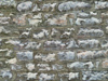 Textures-B 36