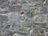 Textures-B 161