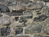 Textures-B 164