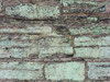 Textures-B 184