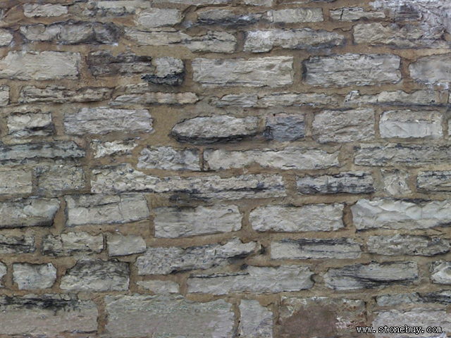 Textures-B 202