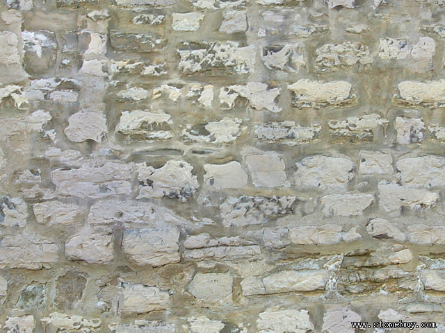 Textures-B 221