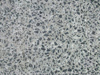 Textures-B 273