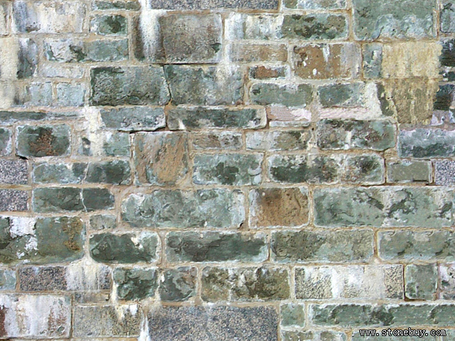 Textures-B 305