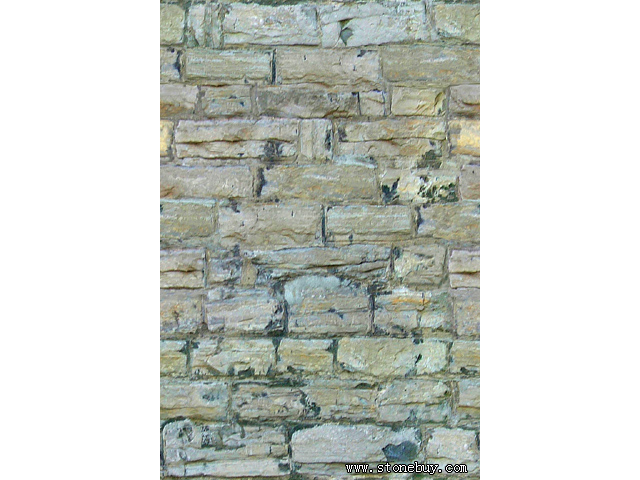 Textures-B 342