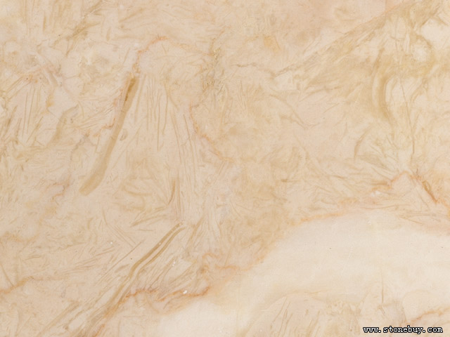 Textures 11