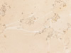 Textures 17