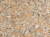 Textures 39