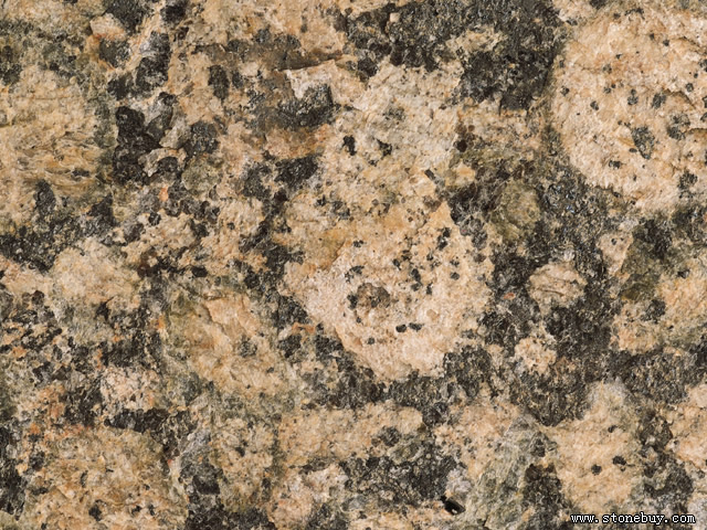 Textures 42