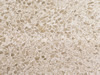 Textures 73
