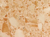 Textures 74