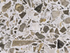Textures 81