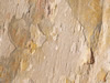 Textures 130