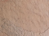 Textures 135