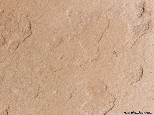 Textures 145