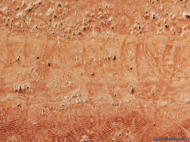 Textures 148