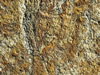 Textures 183