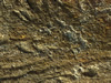 Textures 190