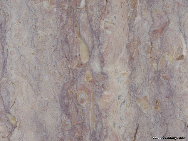 Textures 231